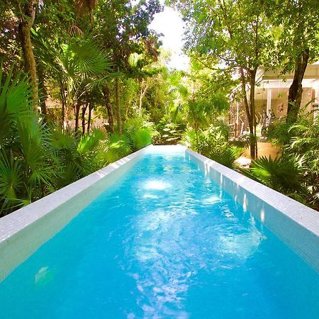 Tao Luxury Condo Mexico 艾库玛尔 外观 照片