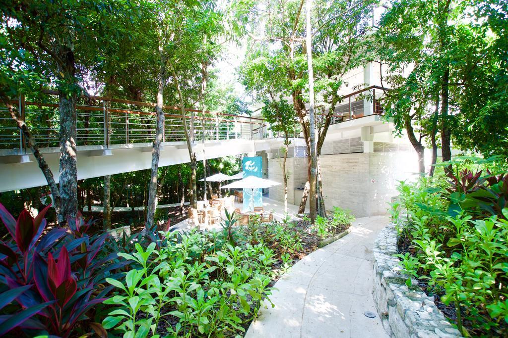 Tao Luxury Condo Mexico 艾库玛尔 外观 照片
